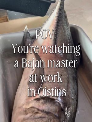 If you’ve ever stopped by the Oistins fish market during the week, you know it’s more than just a place to buy dinner; it’s a front-row seat to a masterclass. Bajan fish boners have honed this craft over decades, turning what should be a difficult task into an absolute art form.🇧🇧✨ From the boat to the market, and straight to the Bay Garden grills, this is the heartbeat of our South Coast culinary culture. 📍: Oistins, Christ Church #MyBarbados #LoveBarbados #VisitBarbados