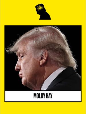 How Trump's 'Careful' Hair Routine Created His Look @MichaelWolffNYC sits down with Joanna Coles to discuss the president's hair, unpacking how it's changed color and look over time. Have a question or comment for us? Send us an email: beastpod@thedailybeast.com⁠ ⁠ Subscribe to Inside Trump's Head wherever you get your podcasts or at the link in bio.⁠ #Trump #Hair #MAGA #POTUS #Politics