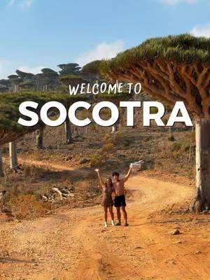 Welcome to SOCTRA. 🇾🇪 Follow for more Travel Content! 😁 #travel #adventure #socotra #yemen