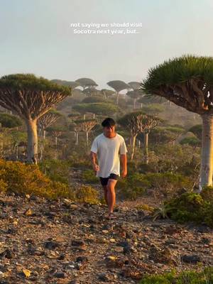Tag someone you’d visit Socotra Island with! 😍🇾🇪🏝️ Socotra island is truly such a magical place! During my trip it was Filled with so much beautiful nature and generosity from the locals of the island making this a top 5 favorite for me! You have to visit Socotra island soon! Book with 😄 #travel #socotra #yemen #travel #aesthetic