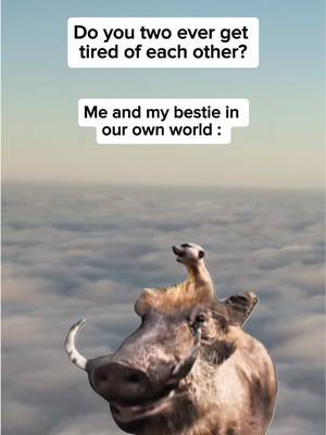 #CapCut Happy Bestie Day 💚  Tag your bestie & remind them you love them 🥹🫶  P.S. The Lion King is easily one of the best Disney movies… #b#bestfrienddayb#bffb#bffgoals❤️meandmybestie 