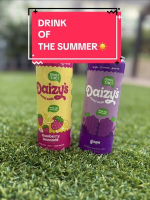 Found the drink of the summer ☀️🍓🍇 Pool days, good company, and a cold @Drink Daizy’s in hand… this is the vibe all season long 😌💦 Refreshing Infused soda made with real ingredients, low calorie, low sugar, gluten free + vegan 🌱✨ And I love that every can has a QR code so you know exactly what you’re sipping. BRB keeping these stocked all summer 🤭☀️ Are you grabbing grape or strawberry lemonade first? 👀  #DrinkDaizy #SummerVibes #PoolDayEssential