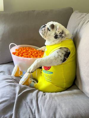 Cheese balls are always a slam dunk...🏀 #NBA #nbaplayoffs #knicks #spurs #basketball 