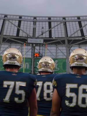 We’ve got it all 👀 Experience a game day like no other at the Aer Lingus College Football Classic this August 🏈☘️ #MuchMoreThanAGame | #TouchdownDublin | #TouchdownIreland