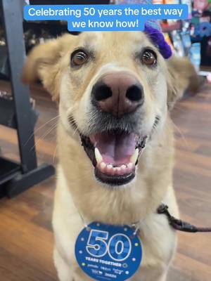 It's a very special Pet Appreciation Month this year as we celebrate the 50th Anniversary of the Pet Valu family of stores! When you purchase a paw, you're helping pets directly in your local community 💙 Join us for the month of June!