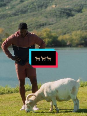 Course conditions: GOAT Approved. 🐐