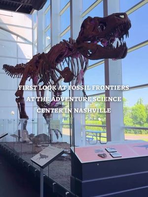 Millions of years in the making, Fossil Frontiers is now open at @Adventure Science Center! 🦖 ✨   Featuring life-size dinosaur replicas, real fossils discovered right here in Tennessee, and interactive experiences for all ages, this new exhibit brings the prehistoric past to life in a big way. 👏 🦕 #Nashville #MusicCity #fyp #explore 