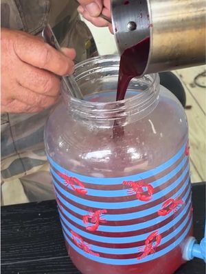 Blackberry Lemonade! Summertime drink. #fyp #lemonade #blackberry