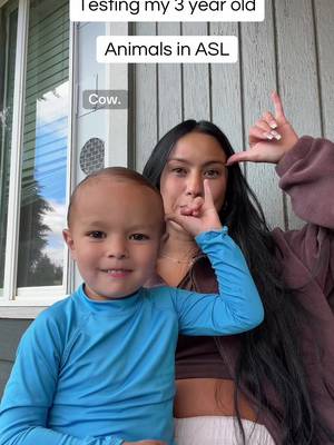 Animals in ASL // Testing my 3 year old #parenting #signlanguage #asl #bilingual #mom 