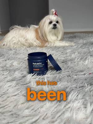 I thought my dog was just being weird… until I realized the constant paw licking and scratching could be a sign he was uncomfortable. 😢🐾 As a dog mom, it’s hard watching your pup deal with itching, licking, and seasonal allergies. That’s why I started looking for ways to support my dog’s health from the inside out. These Allergy & Immune Chews from PetLab Co. are made with probiotics, prebiotics, omega fatty acids, and other ingredients that help support gut health, immune function, and overall wellness. If your dog struggles with paw licking, scratching, or skin sensitivity, these chews might be worth checking out. Every dog is different, but it’s always nice to find products that make supporting their health a little easier.  🐶💙@PetLab Co. #pet #petugc #ugcpet #petlabco #ugc 