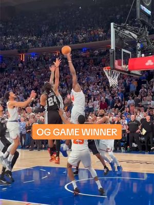 POV: you witness the game winner in person 🤯🤯 #newyorkknicks #knickswin #NBA 