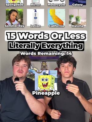 15 Words or Less: Literally Everything Edition🤣🌎 #15wordsorless #guessinggame #wordgame #viral 