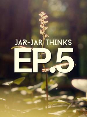Day 5/30 pulling messages for creators out of Jar-Jar Thinks. Guys. This message is such an important one that we can all relate to. We can’t forget the magic in which we begin a project with. That inspired version of ourselves that beams energy like the sun. You are the sun. Shine that light on everything around you. #smallcreator #contentcreater #artistmotivation #lessonslearned #gettingreal 