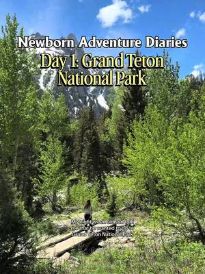 Day 1 of camping and hiking in the Tetons with our newborn was a success!✨🏔️🥾👶🏼 I did my best not to overpack our itinerary by sticking to one big activity for the day, which was a good call because I definitely underestimated how long it would take us to hike ~4 miles in the mountains! I’ve dreamed of hiking in the Tetons with my baby for years, so to finally make it a reality was so special. This is one hike that I’ll remember for the rest of my life!🥾🩷 Click the location in the post to plan your own trip to Jenny Lake and the Tetons! #GrandTetonNationalPark #AdventuresWithBaby #HikingWithABaby #AdventureFamily 