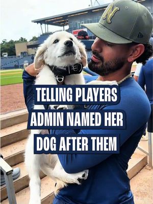But it’s really just baseball players playing with a puppy #baseball #MLB #players #puppies #dog 