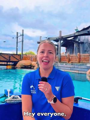 Happy Sea Turtle Week! 🐢 Today is Loggerhead Sea Turtle day & we are celebrating Big Guy! Love turtles as much as we do? Head over to @seaworldfoundation and dive deeper into Sea Turtle Week!