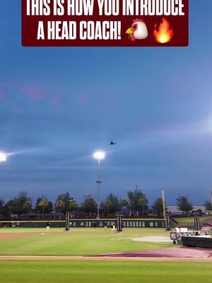 NO ONE DOES IT LIKE THE UNIVERSITY OF SOUTH CAROLINA!! 😳🐔 • • • • #spursup🤙 #usc #southcarolina #baseball #collegesports 