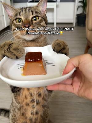 Limon🤣🥹 Gourmet Revelations für Genussmomente🐈 und ihr könnt euch aktuell sogar 100% Cashback sichern 1. 2x GOURMET Revelations kaufen 2. Bon auf der Aktionsseite hochladen 3. 100% Geld zurück erhalten + Chance auf einen 100€ home24 Gutschein Alle Infos hier: purina.de/aktion/gourmet @Purina Deutschland #Purina #PurinaDeutschland #PurinaGourmet #Gourmet #katzenliebe Anzeige