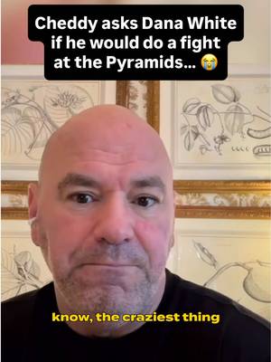 UFC Egypt 🤣