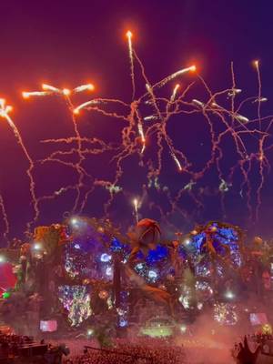 Creating memories for a lifetime #electronicmusic #tomorrowland #festival 