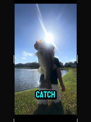 #ad Logging my catches @Fishbrain  #fyp #fishing #bassfishing #viral 