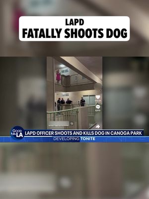 LAPD shot and killed a 2-year-old dog who wasn't doing anything wrong ... at least according to his owner. 🎥: FOX 11 Los Angeles