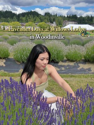 enjoy lavender fields, pick fresh blooms, and try lavender-infused treats in Woodinville!  lavender days is now here at Willow’s Lodge and JB Family Growers💜 #lavender #lavenderdays #woodinville #summerflowers #seattle 