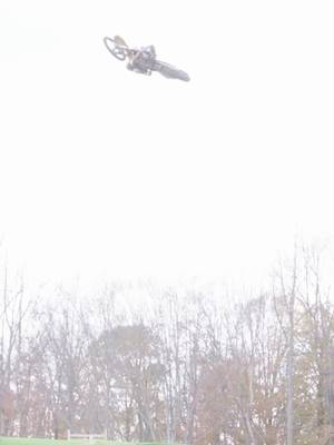 POV: TP doing the hardest trick of his life and dodging a million trees