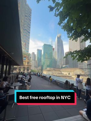 Think I just found the best free rooftop in Manhattan #rooftop #publiclibrary #nycsummer #tourguide #thirdspaces 