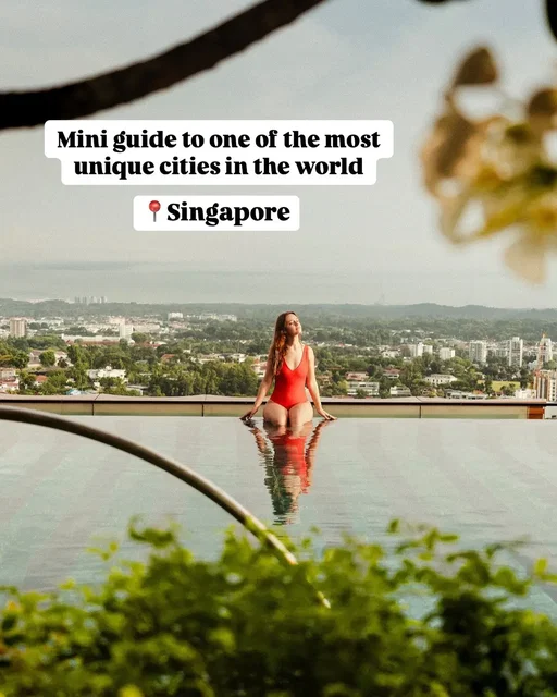 Some other noteworthy stops 👇🏻 🐝 Beekeeping and honey ice cream making at The Sundowner Nature Experience Center 🤤 Next Level dinner and drinks at Air CCCC 🍷Drinks to die for at Fura 🥙 Lau Pa Sat street style dinner What is the top thing on your bucket list in Singapore? #visitsingapore #guidetosingapore #traveltheworldwithme