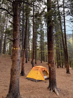 sleep outside every once in a while, it’s good for the soul🏕️🌙🌭   at the end of the day, it’s just about getting outside & appreciating your surroundings but here’s just a few things that make just it a little more enjoyable😌