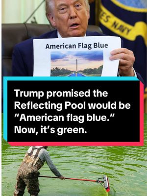 Trump has been promising a newly renovated Reflecting Pool in the shade “American flag blue.” Instead, days after it was repainted, an algae bloom has turned it green. #news #trump #reflectingpool