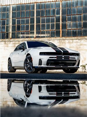 Pure power looking back at you. 