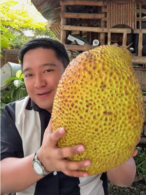 Mahilig ka ba sa langka or jackfruit? Pro tips:  1. Sa paghiwa ng langka, lagyan mo ng cooking oil ang knife para hindi dumikit ang dagta at para hindi ka mahirapan maglinis. 2. Kapag may dagta sa kamay mo, lagyan mo lang ng cooking oil at i-rub ito sa kamay mo bago maghugas gamit ang sabon at tubig. #foodtripbakamo #langka #jackfruit #gensan #creatorsearchinsights 