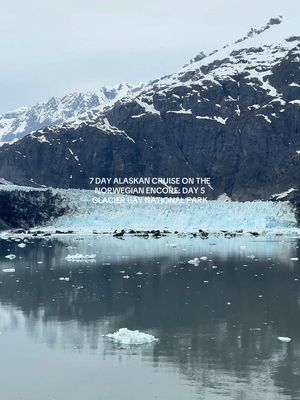 7 Day Alaskan Cruise on the Norwegian Encore Day 5: Glacier Bay National Park  #alaska #alaskacruise #alaskancruise #glacierbay #cruise  @Norwegian Cruise Line 