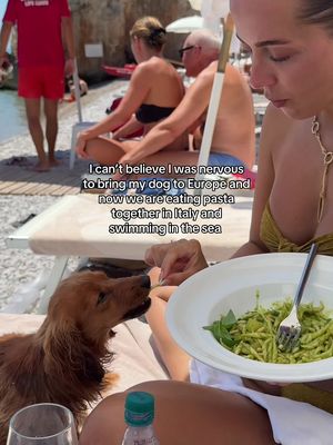 If you needed a sign to bring your dog on the trip… let this be it 🥹🤍