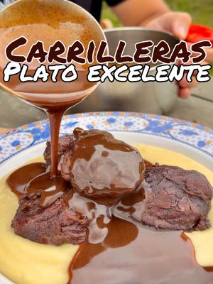 🐷CARRILLERAS🐷 “Plato excelente” Si seguimos a este ritmo no se si podremos permitírnoslas, pero mientras tanto gozaremos de uno de los mejores platos de nuestra gastronomía. . . #carrilleras #vinotinto 