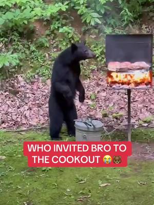 Maybe hes chill tho 😳 #bears #cookout #bbq #funny #culture