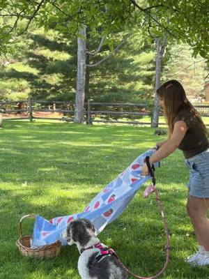 The perfect picnic date doesn’t exi— 🧺🐶🌷 Just a sunny patch of grass, a cozy blanket, and a basket packed with their favorite essentials like Wellness Protein Bowls and Soft Puppy Bites. Tag a friend who needs to plan a doggy date ASAP! 👇✨