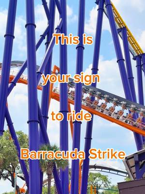 If you were looking for a sign, this is it! 🎢 #barracudastrike #invertedcoaster #seaworldsanantonio 