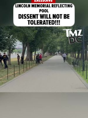 The Lincoln Memorial Reflecting Pool is quickly turning into the Lincoln Memorial Arresting Pool ... TMZ DC witnessed the latest bust firsthand, and the guy who got led off in cuffs gave us a piece of his mind.
