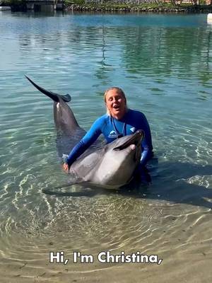 Have you seen the new ONE Dolphin Presentation? 🐬 Explore the remarkable connection between humans and dolphins, celebrate the resilience of marine life and learn how we can all be a voice for the ocean!