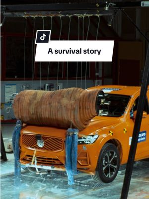 Last winter, Adam hit a 400‑kilo moose in his Volvo XC60.   The front of the car was badly damaged, but Adam and his colleague walked away without a single injury, and Volvo On Call dialled in to help.   “My luck ran out that day, but the fact that I was driving a Volvo saved my life,” Adam wrote to us to express his gratitude. #volvo #volvocars #moosecrash #carcrash #carcrashsurvivor 