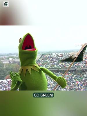 it's not so hard being green when you're at an @MSU Football game 💚 #kermitthefrog #msu #spartans #michiganstate