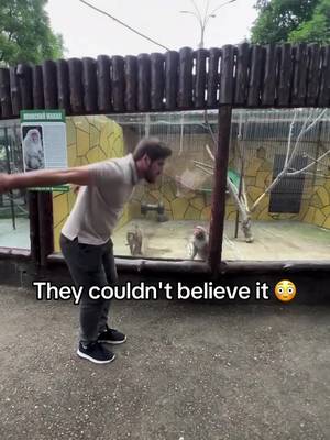 (via imni_is/IG) #monkey #funny 