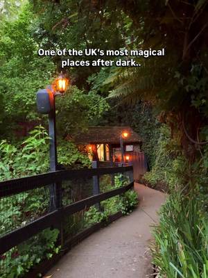 Somewhere in England after dark 🌙✨ A night walk that feels completely different once the sun goes down. Hidden on the Isle of Wight, this illuminated gorge walk takes you through glowing woodland paths, waterfalls, and peaceful nature sounds - it honestly feels like another world. 📌 Shanklin Chine 🌿 What to expect: • Lit-up woodland trail • Waterfalls and streams at night • Short, scenic evening walk • Very different from the daytime experience 💷 Price: Around £13 per person (a bit expensive but valid for a week) 🚆 How to get there from London: Train from London Waterloo → Portsmouth Harbour, ferry to Ryde, then train to Shanklin. About a 10–15 min walk from there. 📍Save this for a unique UK night walk 🌙 #isleofwight #shanklinchine #uktravel #weekendtripfromlondon #englandtravel 