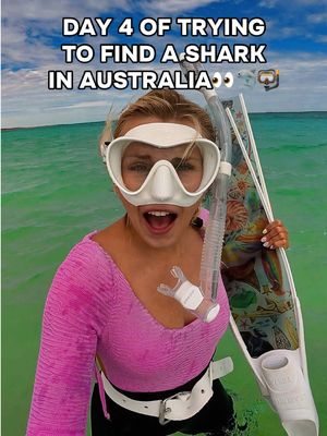 And THIS is why we still went diving in the minefield of jellyfish!👀🦈🤿 SHARKS!!! #sharks #australia #turtle #freediving #ocean 