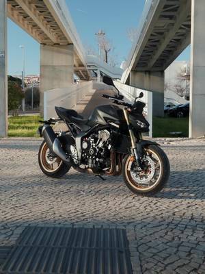 We're just friends🫣 #hondamotorcycles #hondahornet #biketok #biker #bikes 