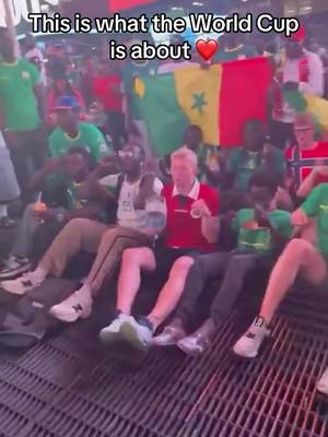 Norway fan taught Senegal fans how to do the Viking Row 🇳🇴🇸🇳 #norway #senegal #worldcup #fans 