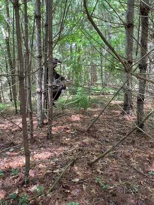 🚨CRYPTID ENCOUNTER CAUGHT ON CAMERA 🚨 not @Alaina Urquhart-Whit #summerween #morbidpodcast #horror #cryptid #podcast 